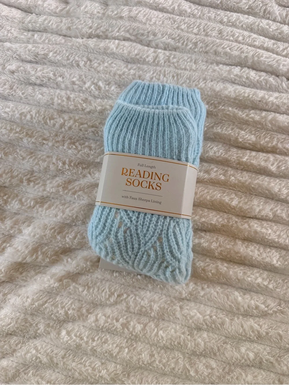 Cozy Light Blue Reading Socks- NWT